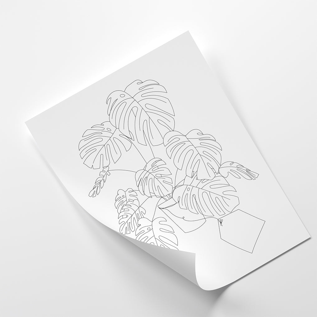 Plant DIY